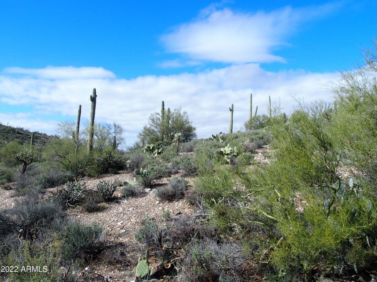 0 Hardt Tank Road - Photo 1