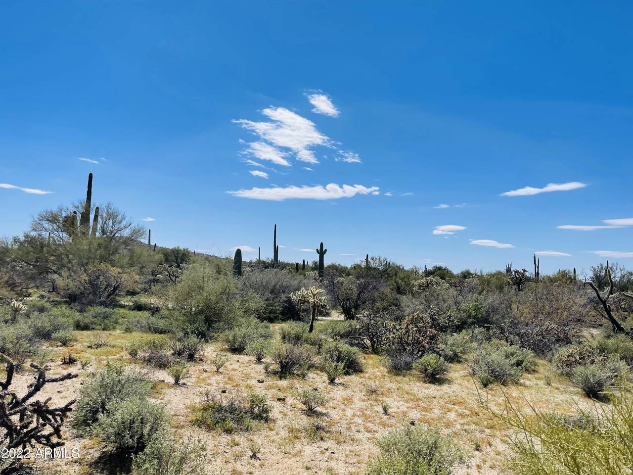 0 Adams Way - Photo 1