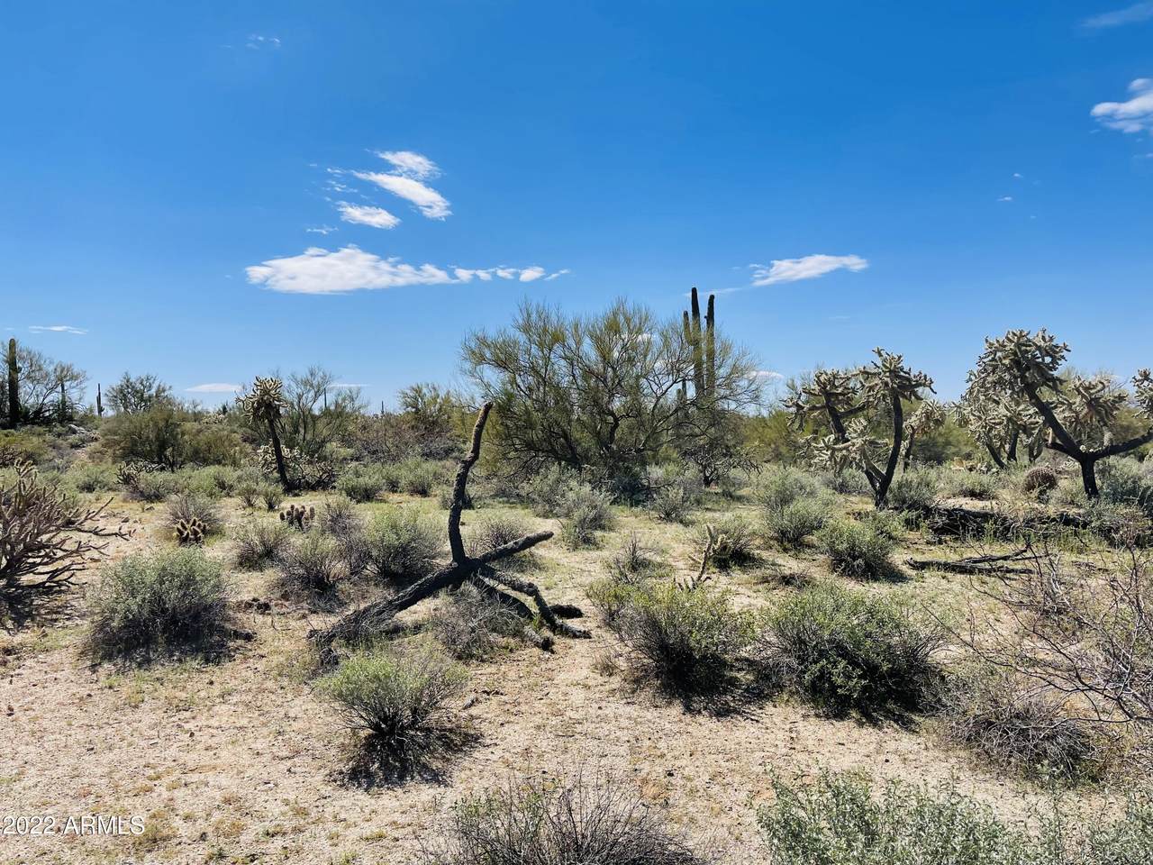 0 Bartlett Road - Photo 1