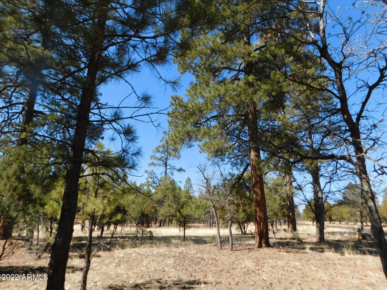 4284 Stargazer Drive - Photo 1