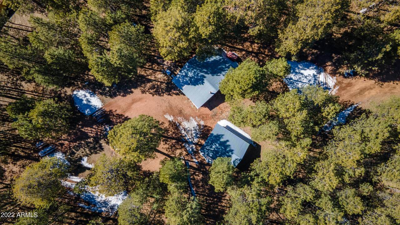 1157 Wild Rose Trail - Photo 1