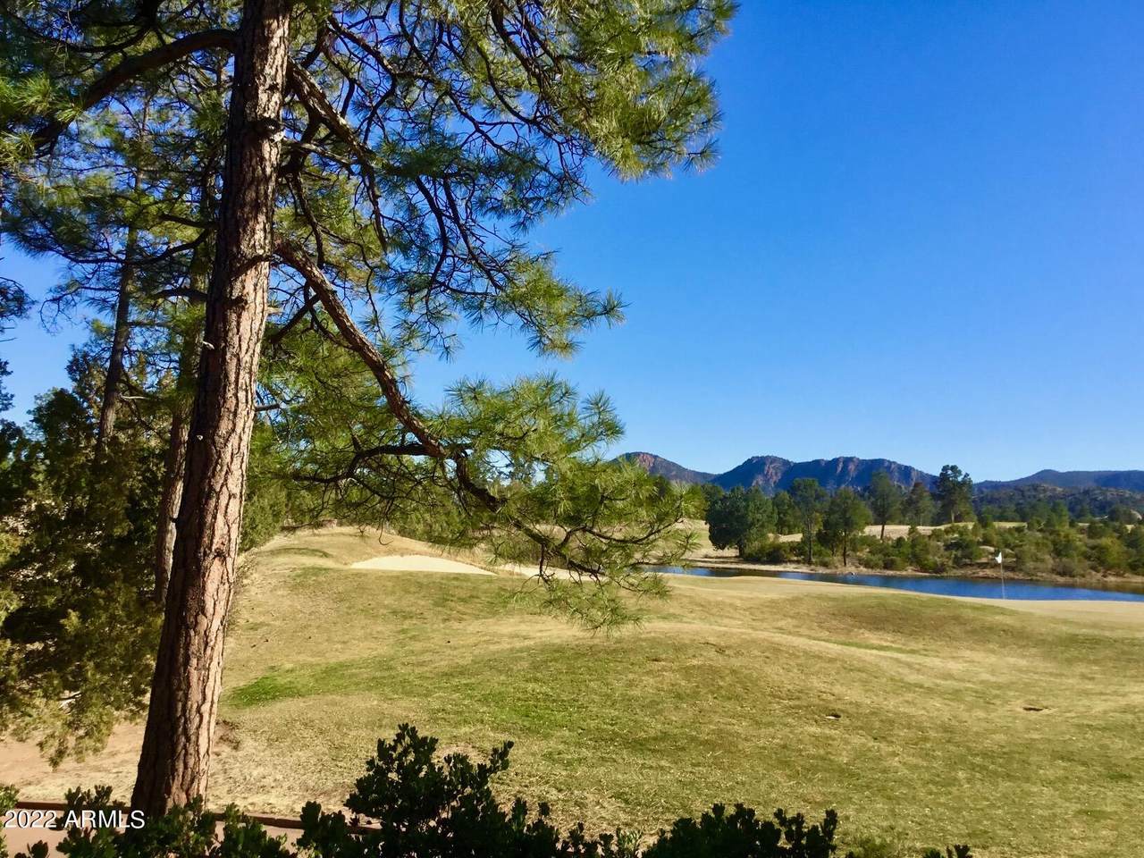 700 Shady Glade - Photo 1