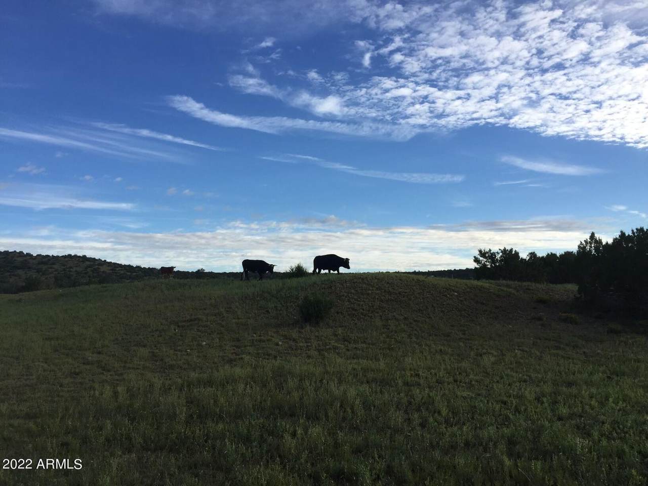 000 County Rd 8221 - Photo 1