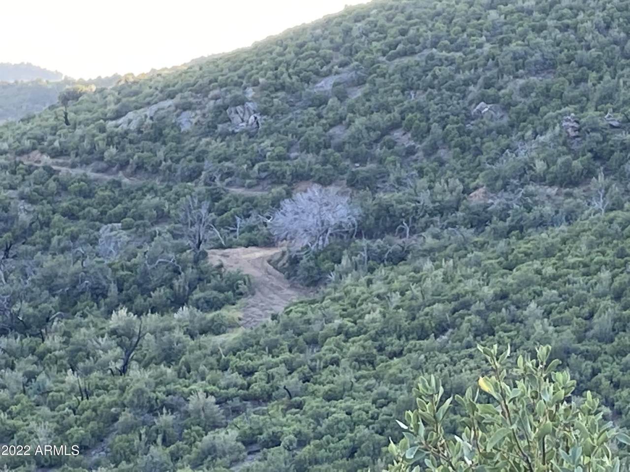XX Lincoln Ridge Road - Photo 1