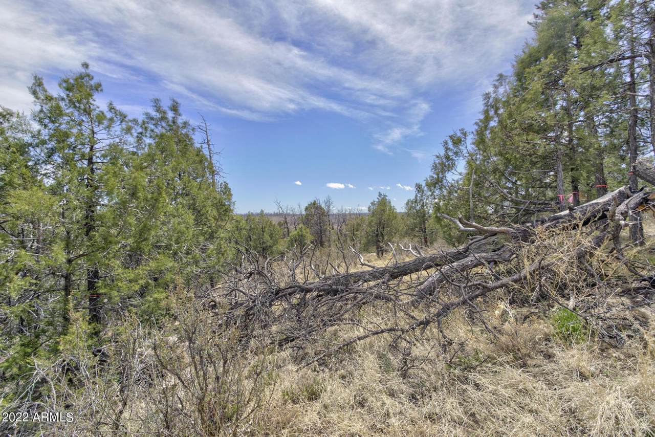 5089 Morning View Drive - Photo 1