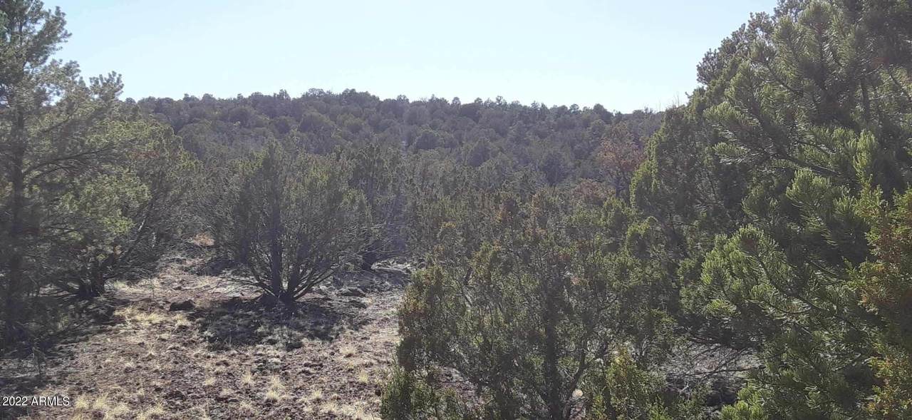 0 Hwy 60 Trail - Photo 1