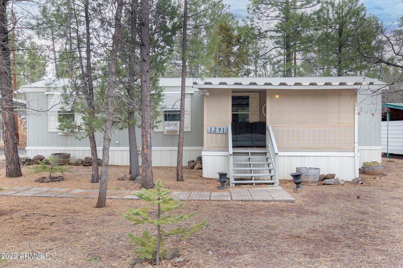 1291 White Tail Lane - Photo 1