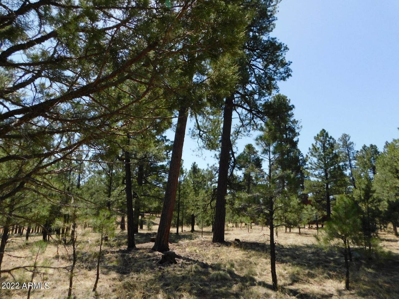 2901 Durango Drive - Photo 1