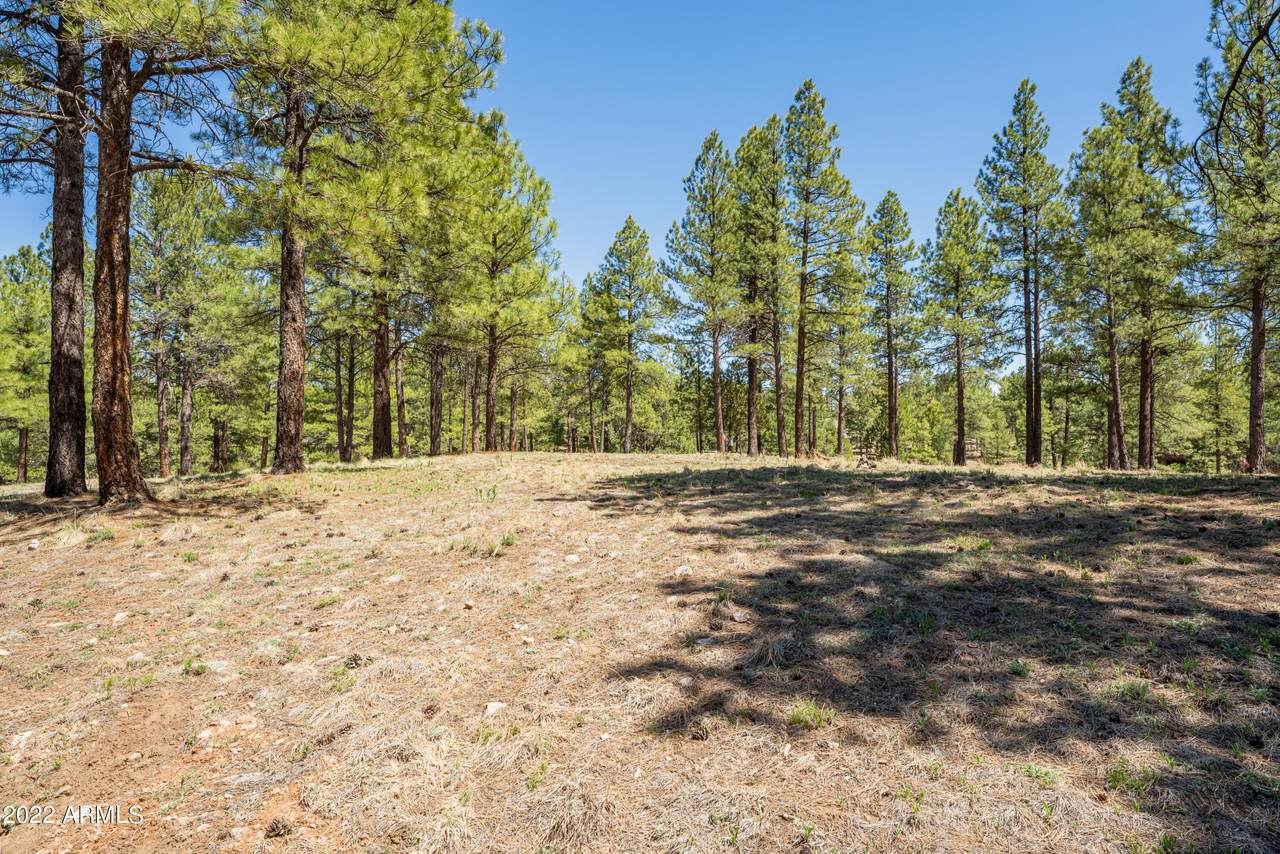 Lot 380 Woodland Hills Drive - Photo 1