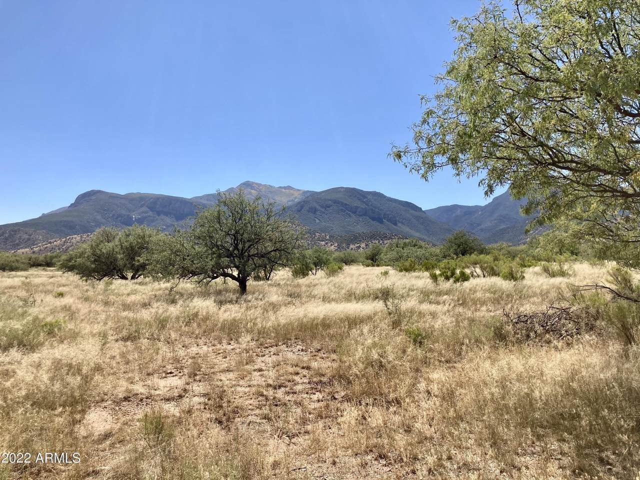 TBD 6.37Ac Loma Lane - Photo 1
