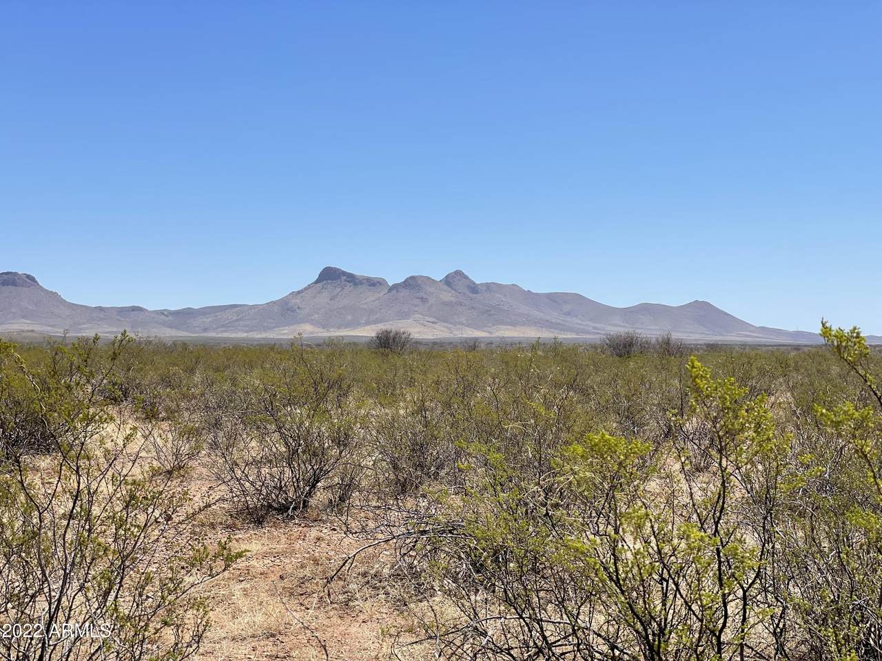 126 ac Lee Station Road - Photo 1