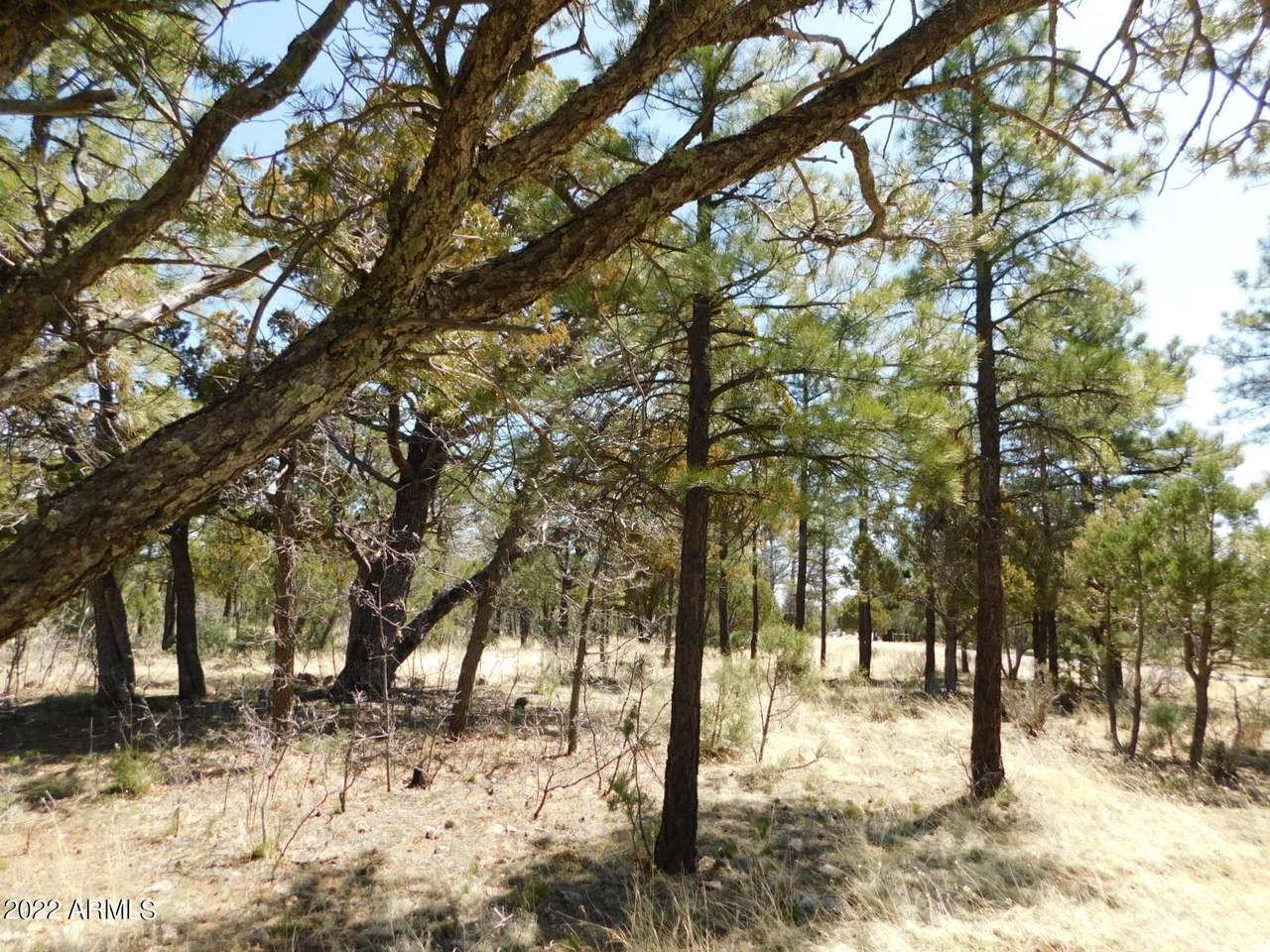 3968 Starlight Drive - Photo 1