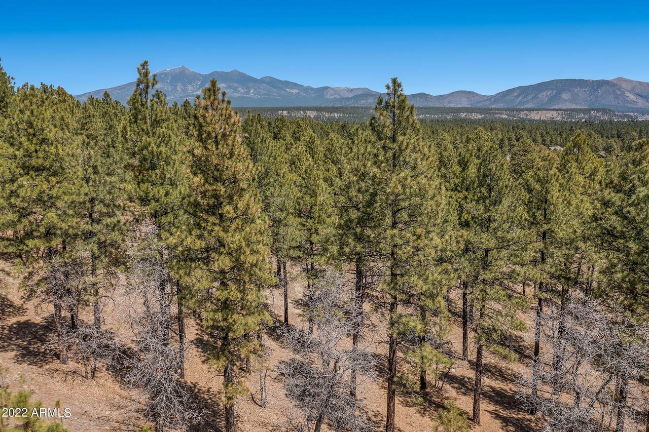 4540 Flagstaff Ranch Road - Photo 1