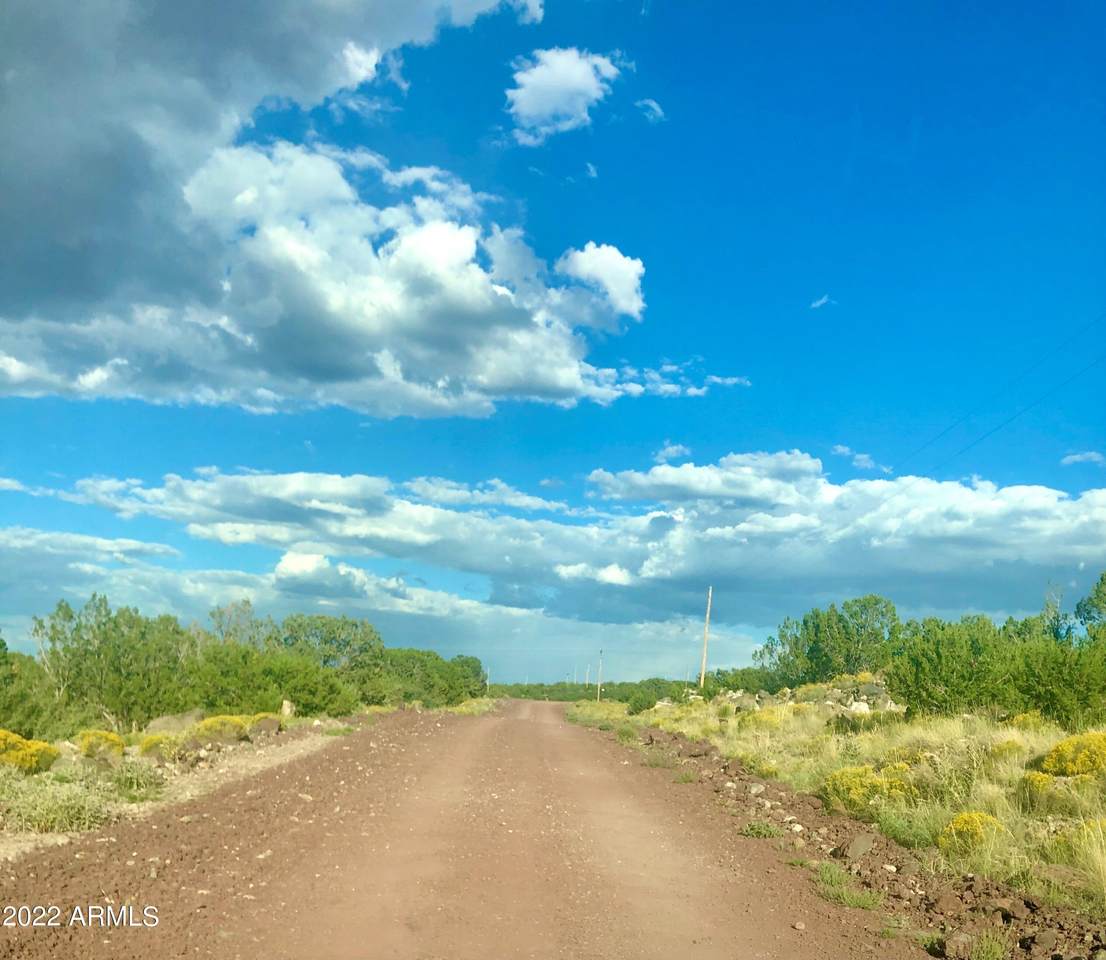 - Concho Creek Drive - Photo 1