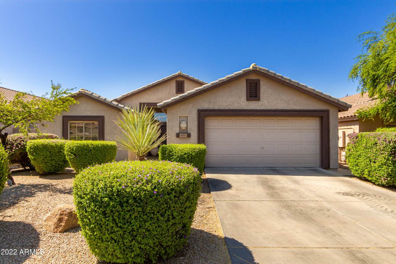 4553 Thorn Tree Drive - Photo 1