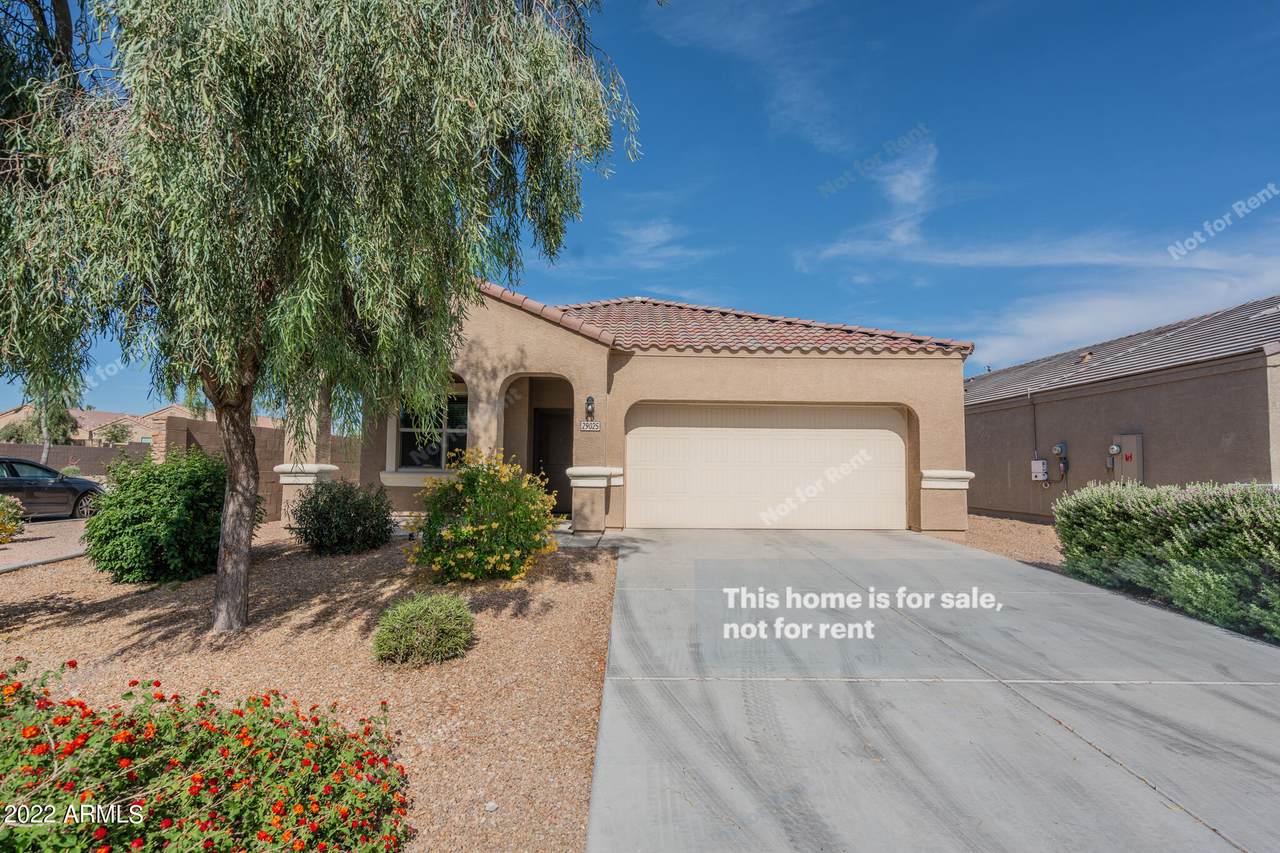 29025 Tsavorite Road - Photo 1