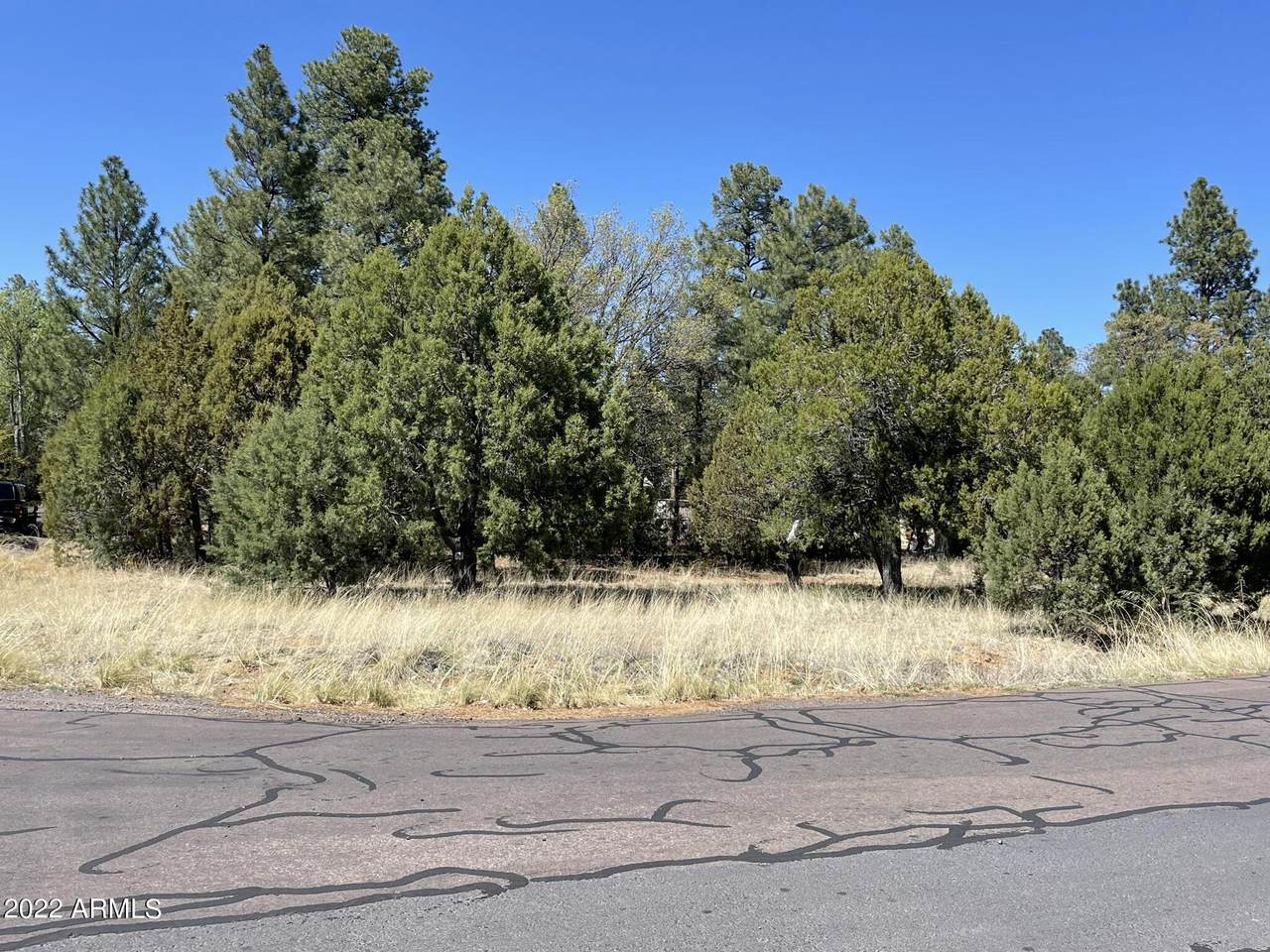 0 41st Drive - Photo 1
