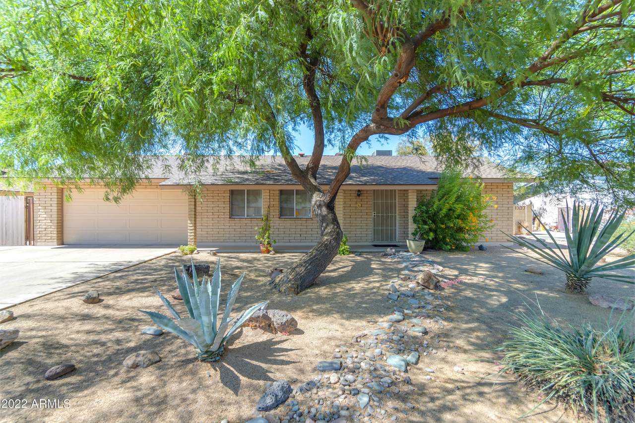 3536 Cholla Street - Photo 1