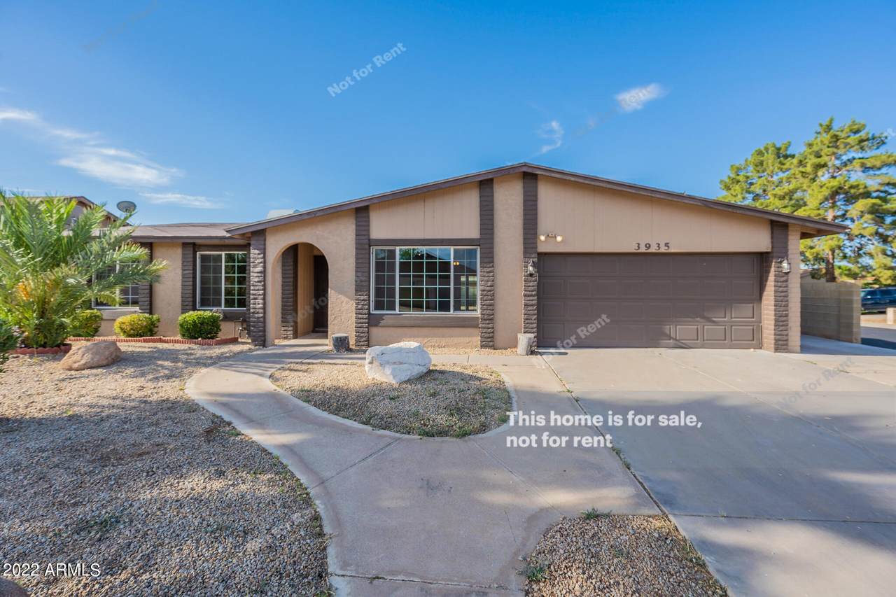3935 Friess Drive - Photo 1
