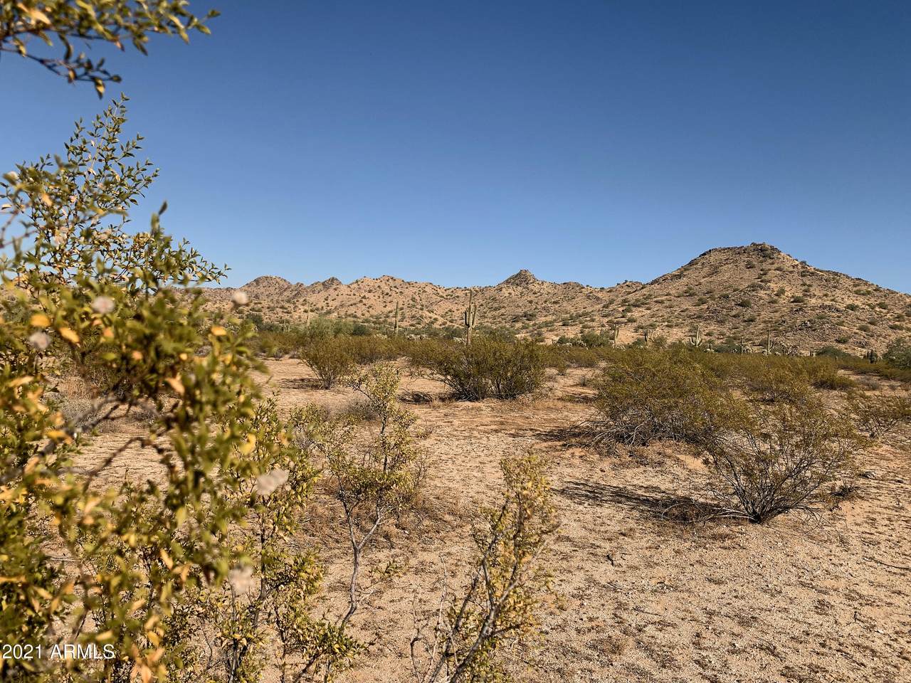 32000-B Bell Road - Photo 1