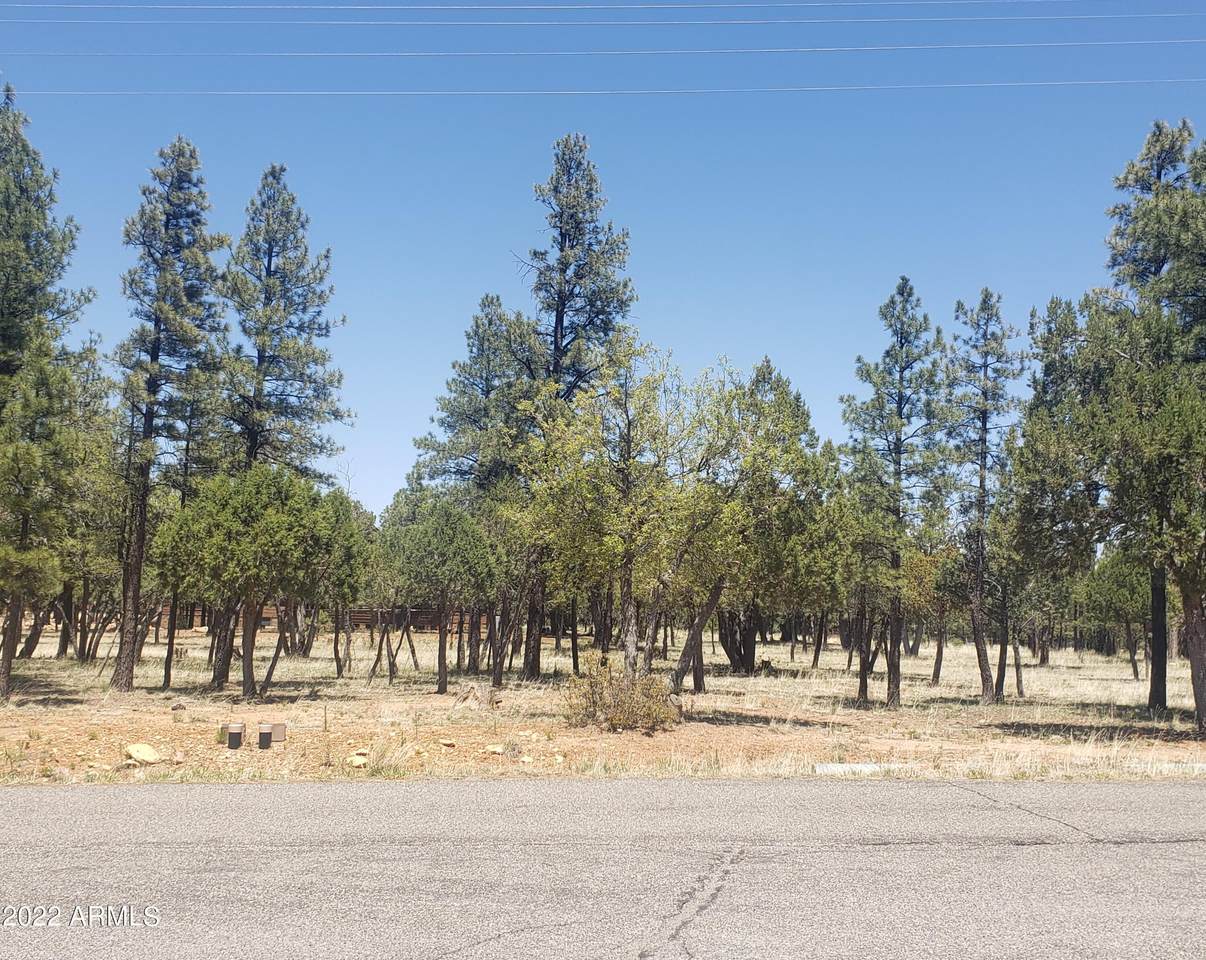3266 Durango Drive - Photo 1