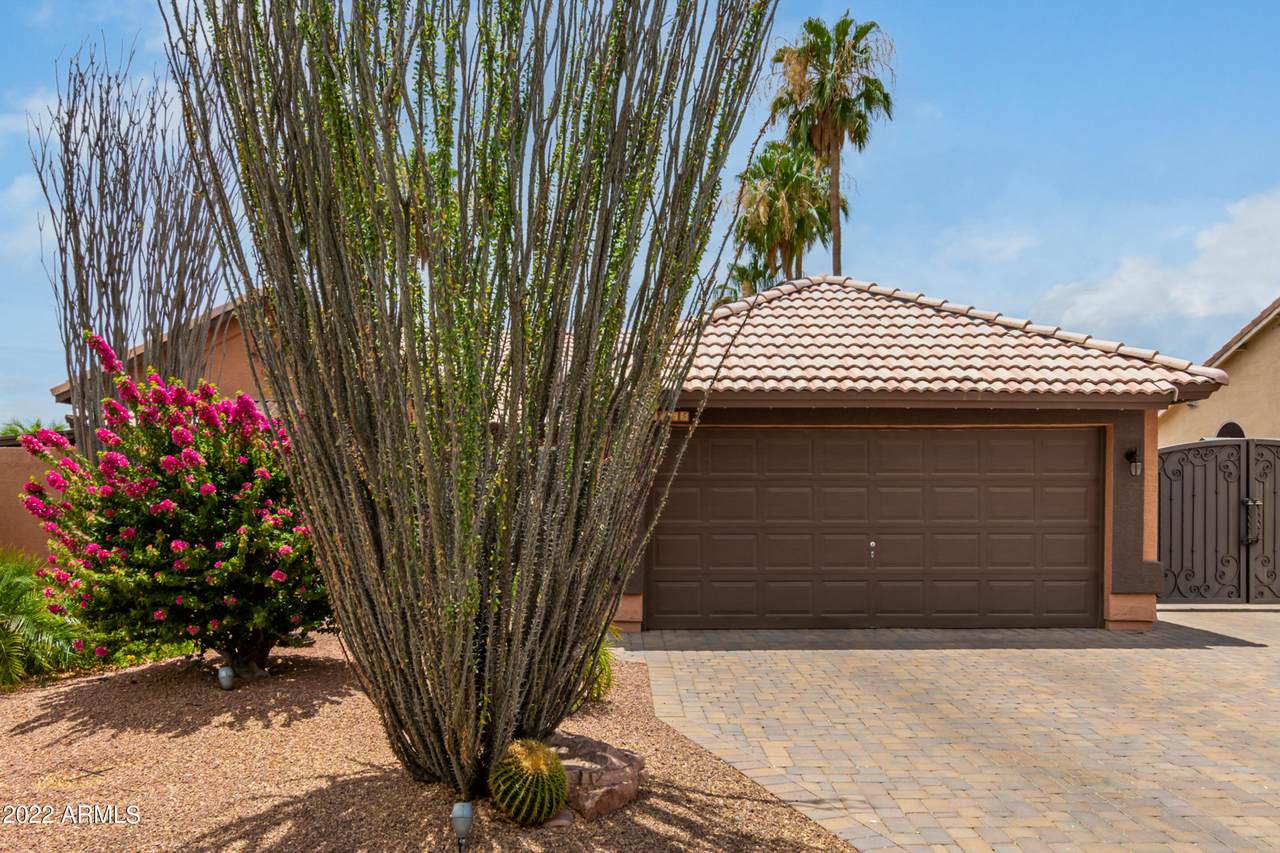 5365 Elena Avenue - Photo 1
