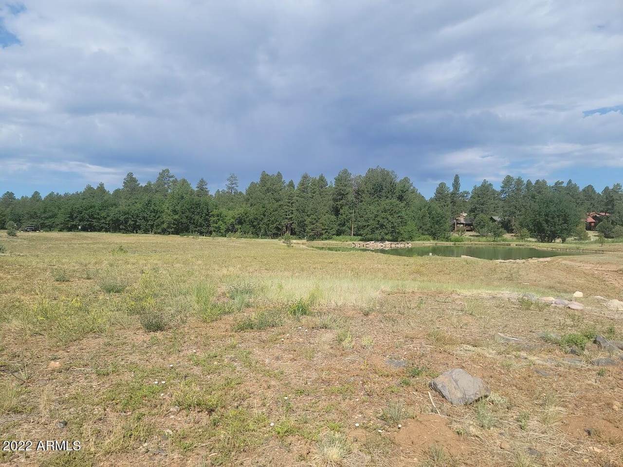 1660 Torreon Lakes Drive - Photo 1