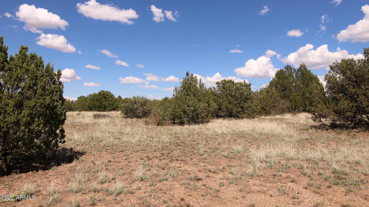 8370 Lake View Drive - Photo 1