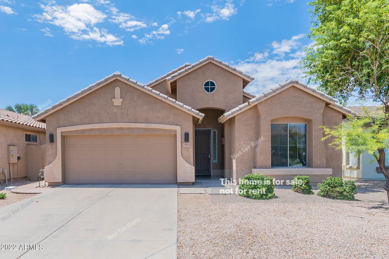 29856 Yellow Bee Drive - Photo 1