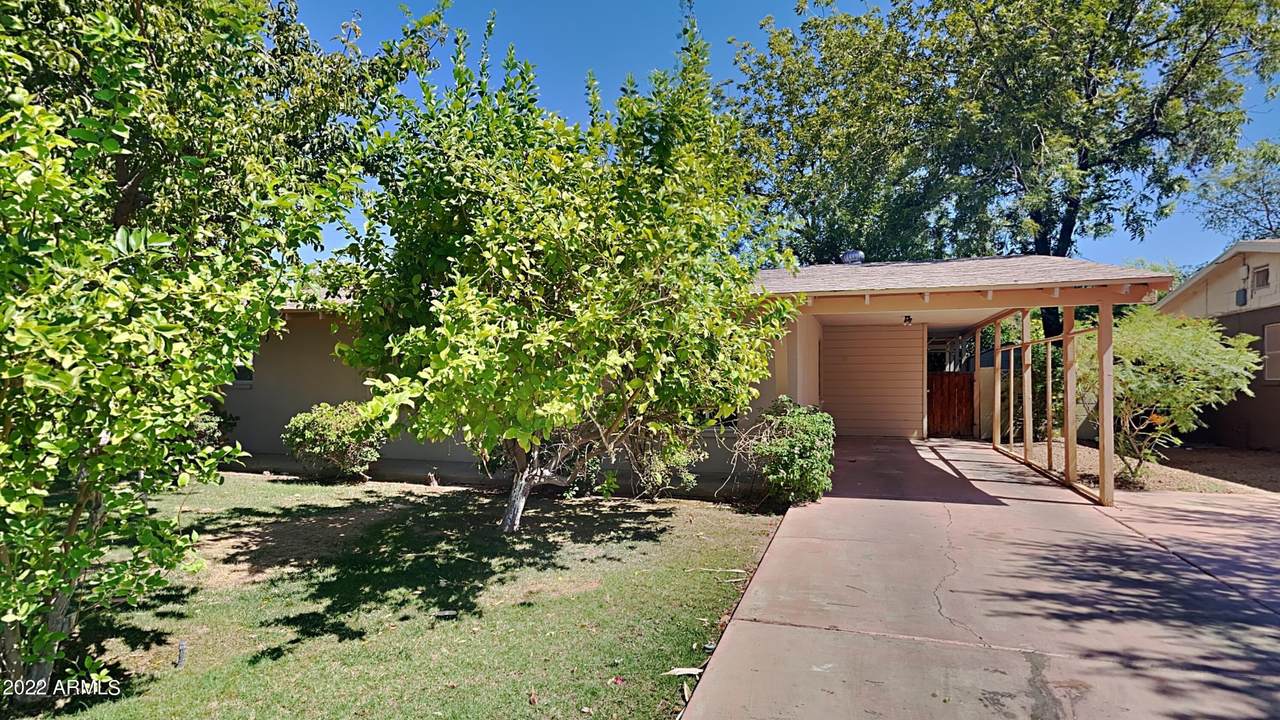 1226 Hazelwood Street - Photo 1