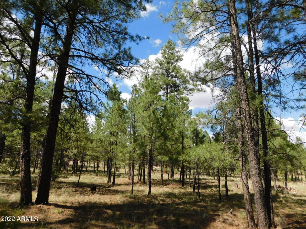 2873 Durango Drive - Photo 1