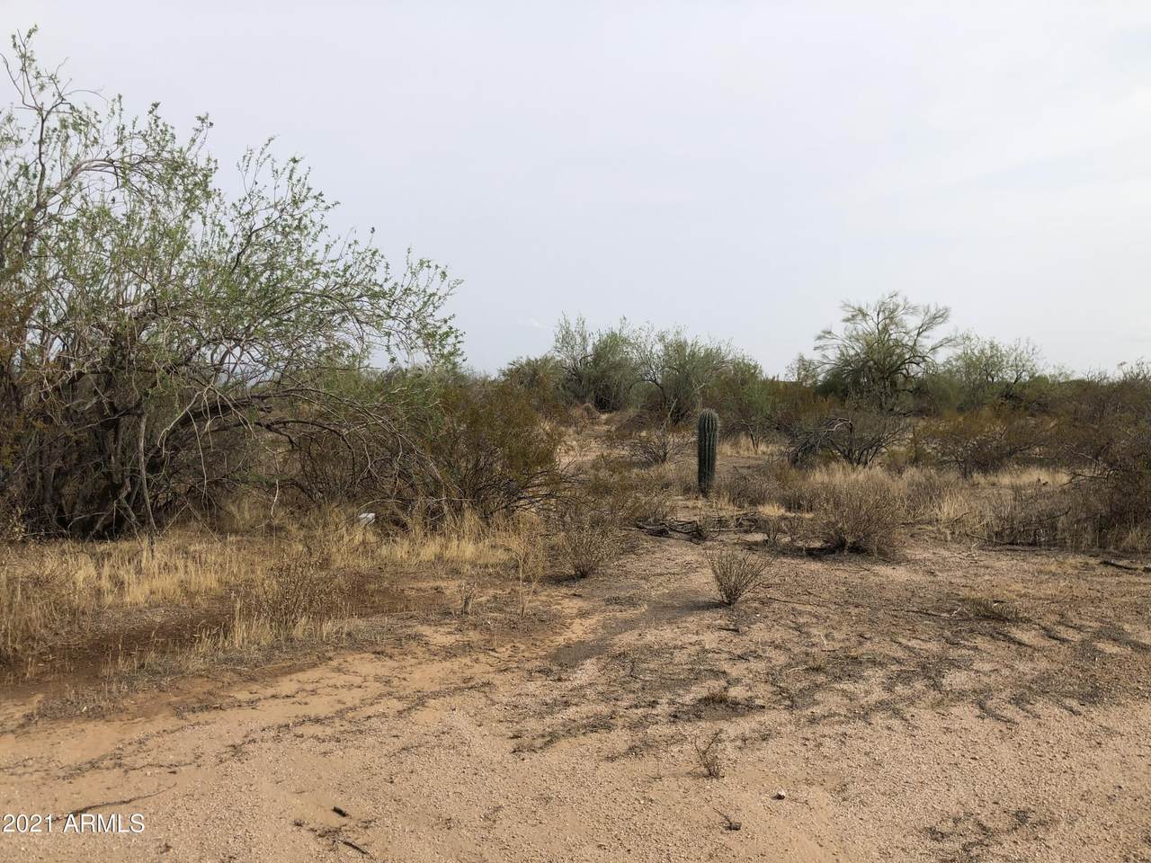 27000 168TH Street - Photo 1