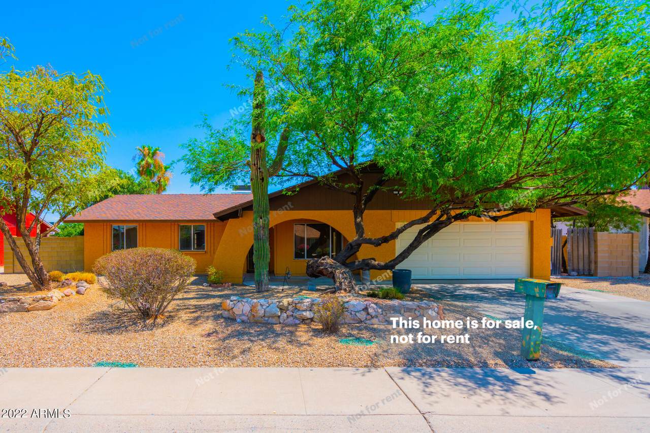 4207 Campo Bello Drive - Photo 1