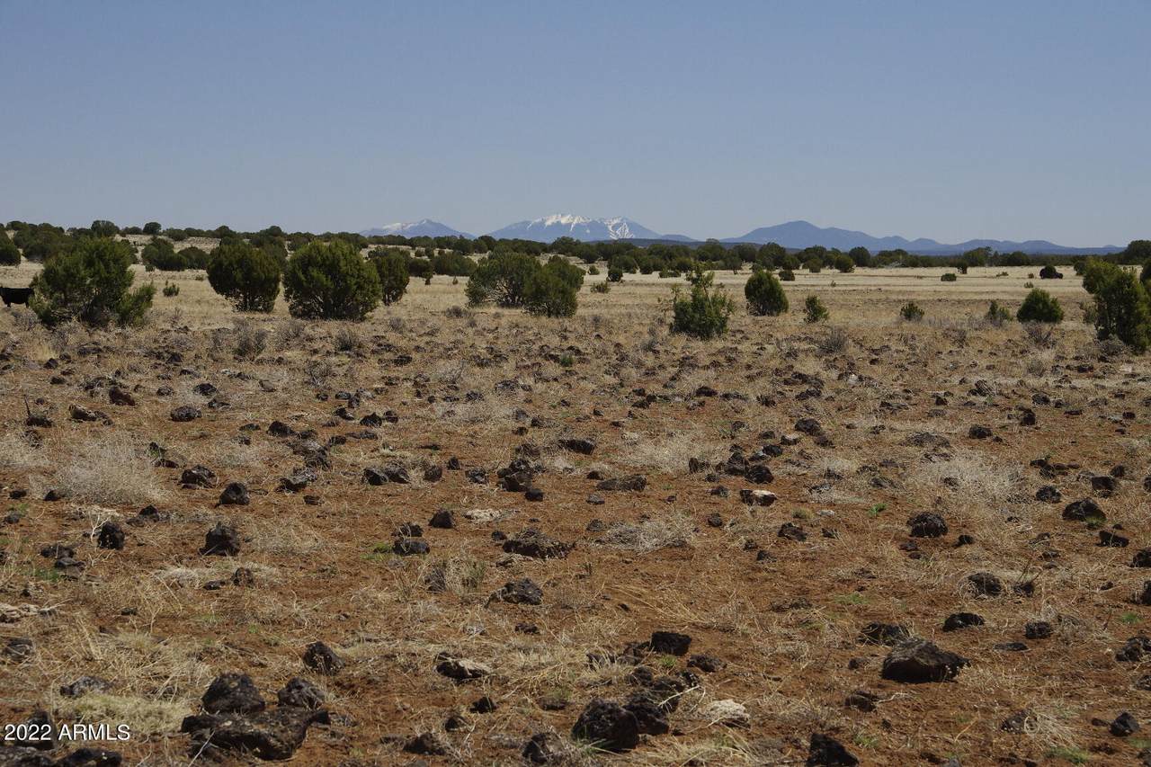 8593 Cortez Ranch Road - Photo 1