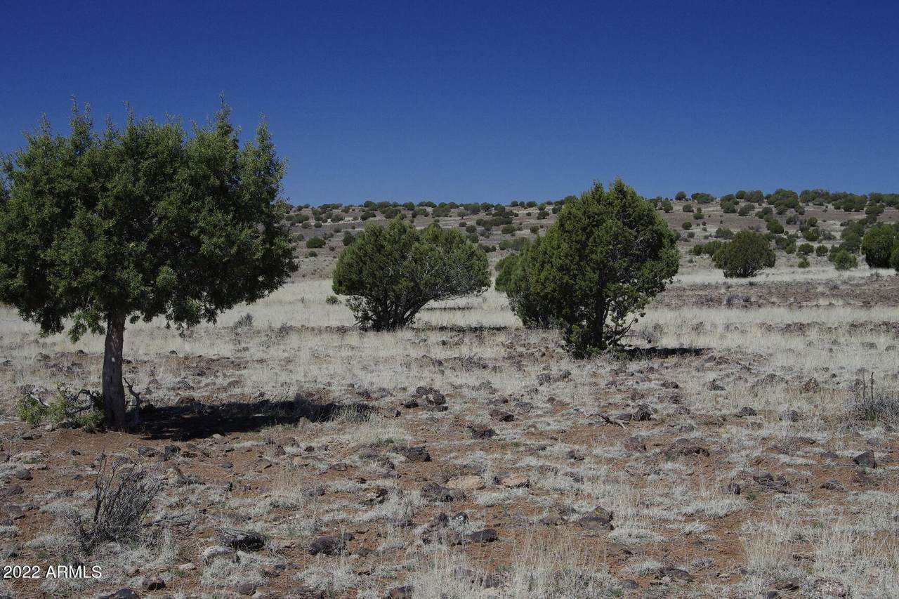 8595 Cortez Ranch Road - Photo 1
