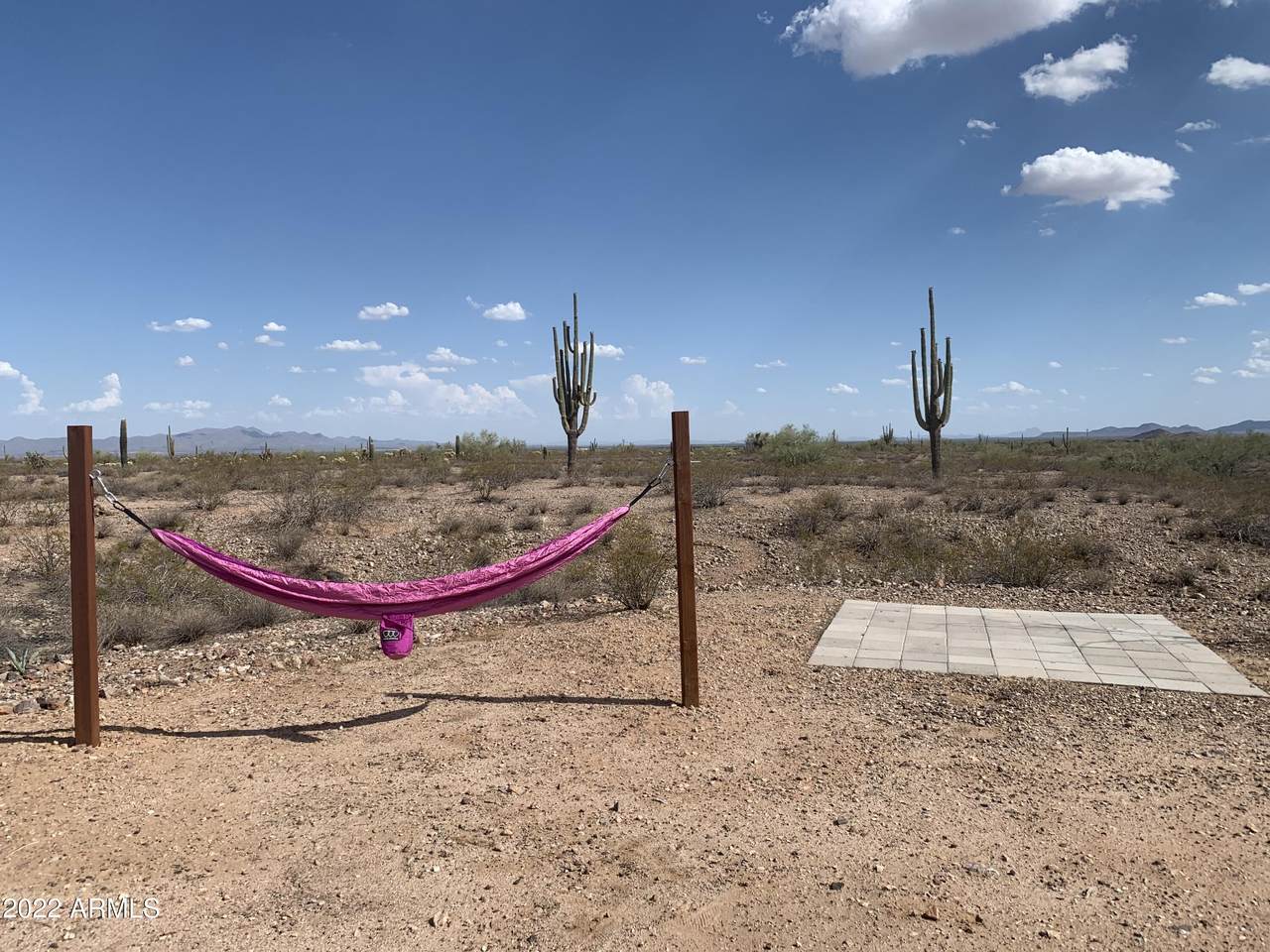 33801 Restin Road - Photo 1