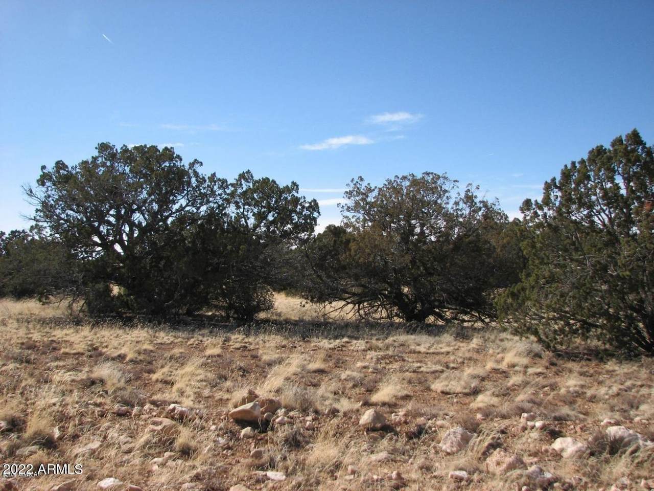 Lot 507 Chevelon Canyon Ranch Unit 3 - Photo 1