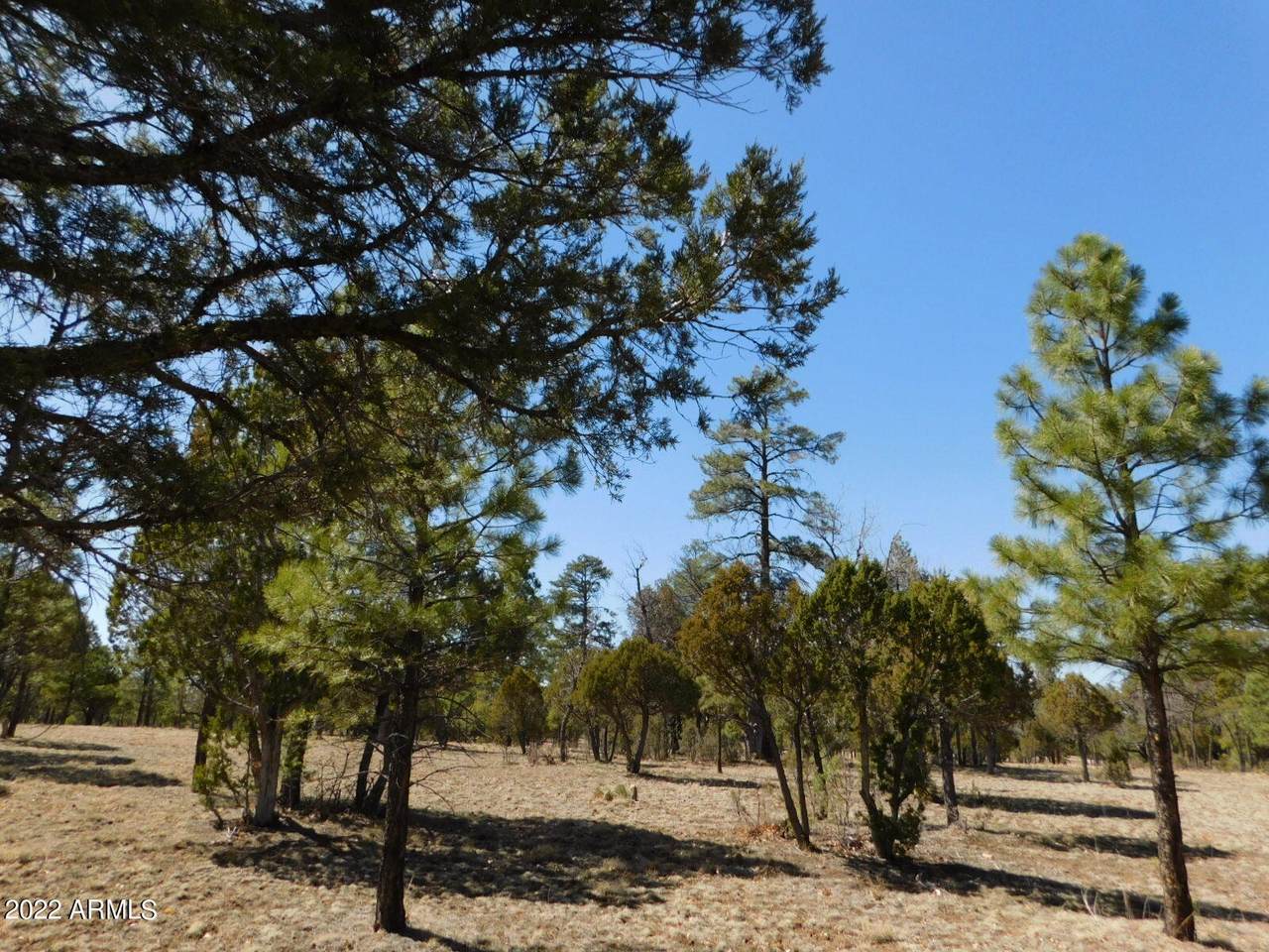 2150 Aztec Circle - Photo 1