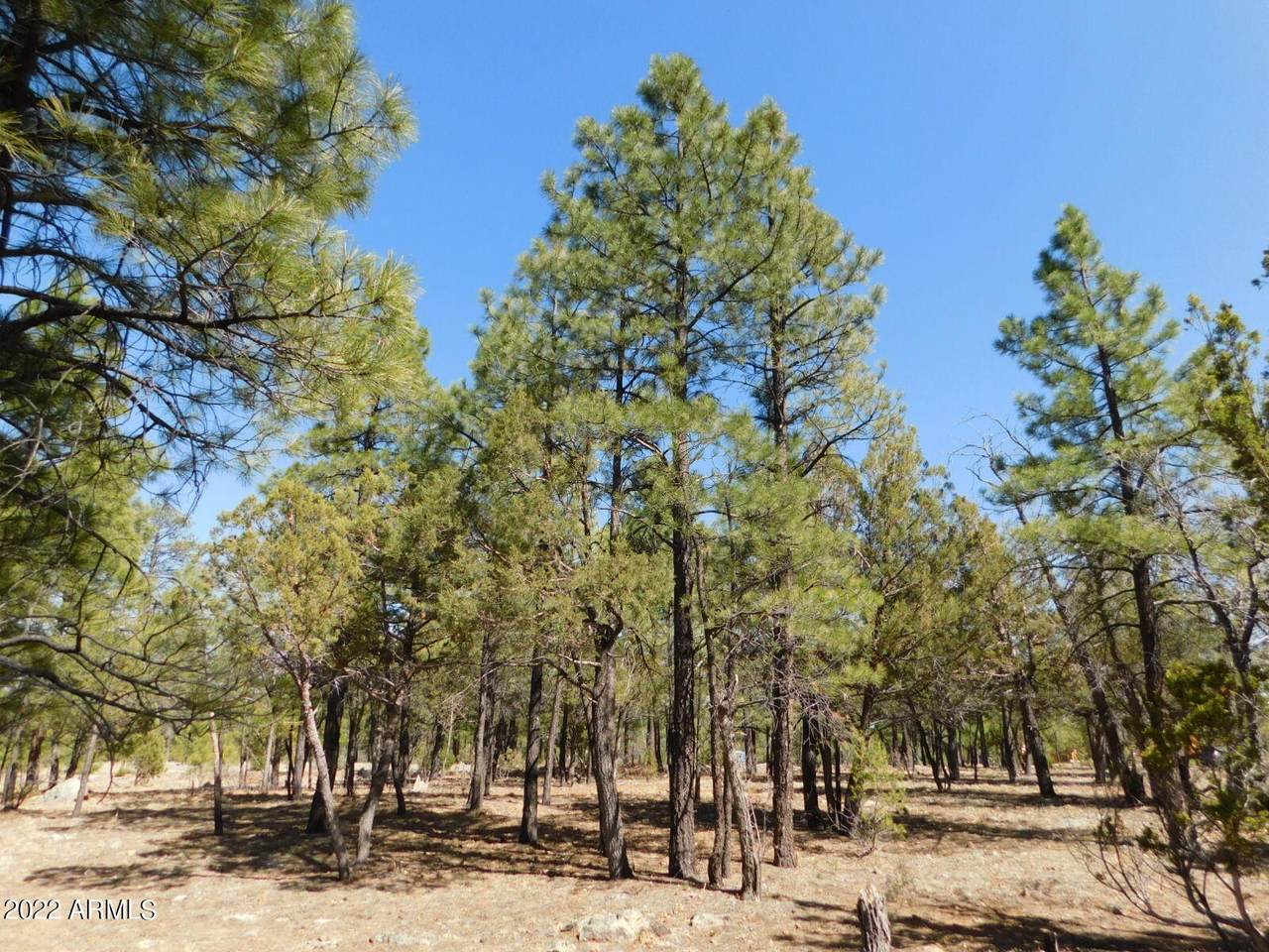2178 Aztec Circle - Photo 1