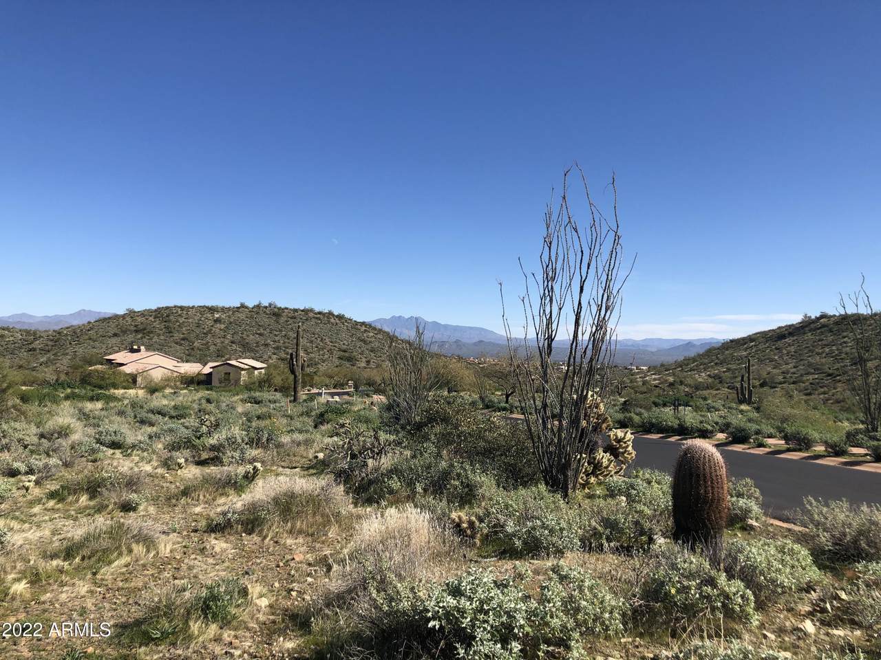 14340 Desert Tortoise Trail - Photo 1