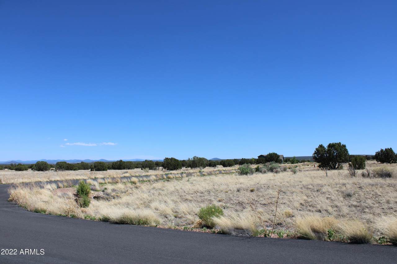 7673 Arroyo Plata Drive - Photo 1