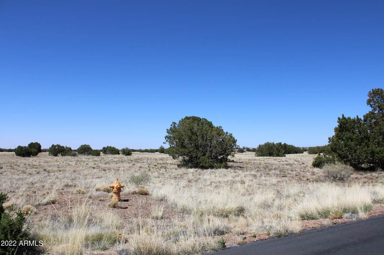 7700 Del Rio Drive - Photo 1