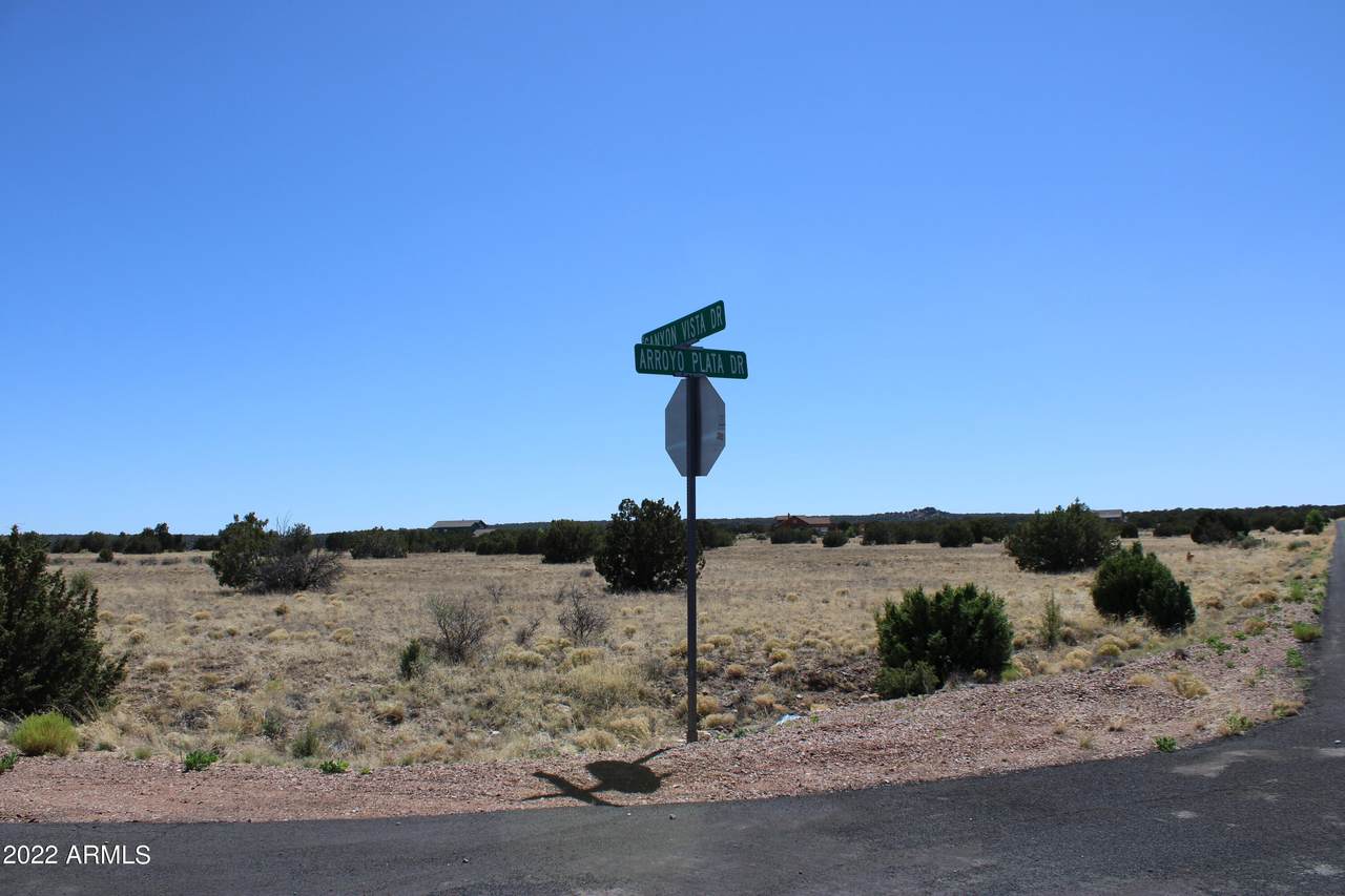 7709 Arroyo Plata Drive - Photo 1