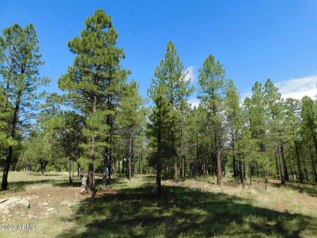 2465 San Juan Drive - Photo 1