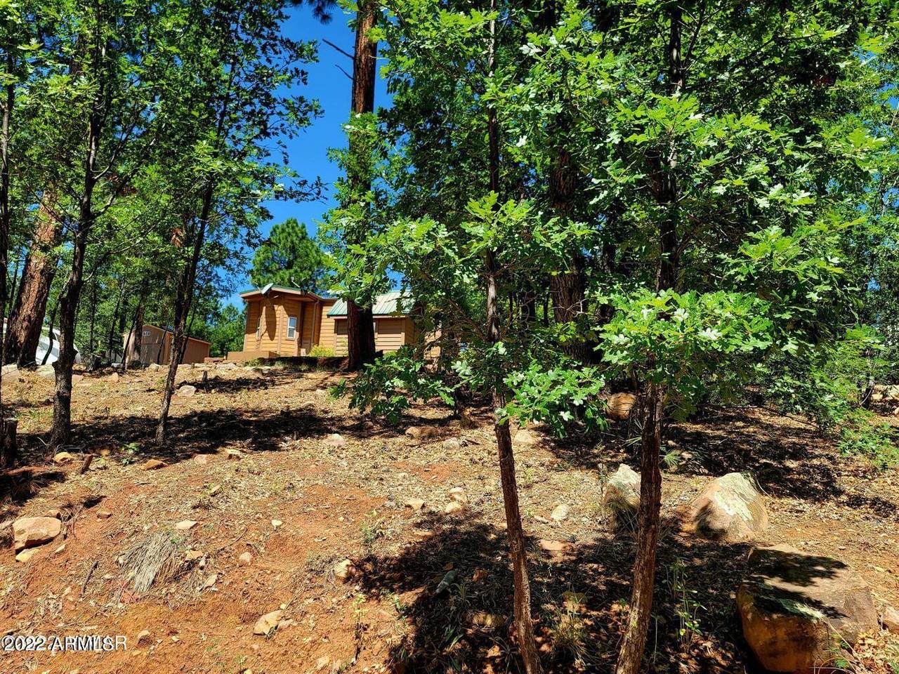3851 Mule Skinner Loop - Photo 1
