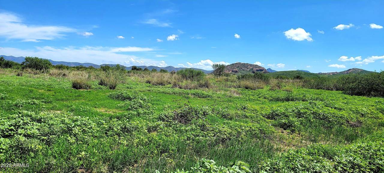 Lot 44D Gila Drive - Photo 1