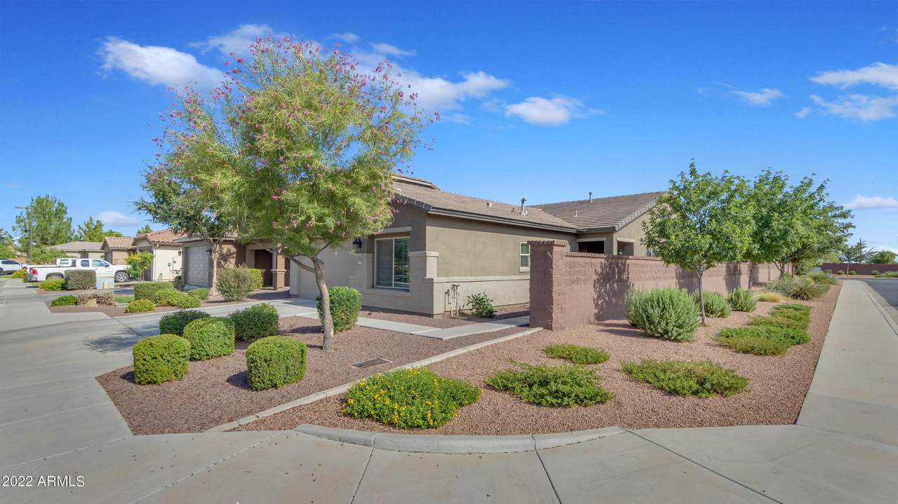 1429 Rubber Tree Court - Photo 1