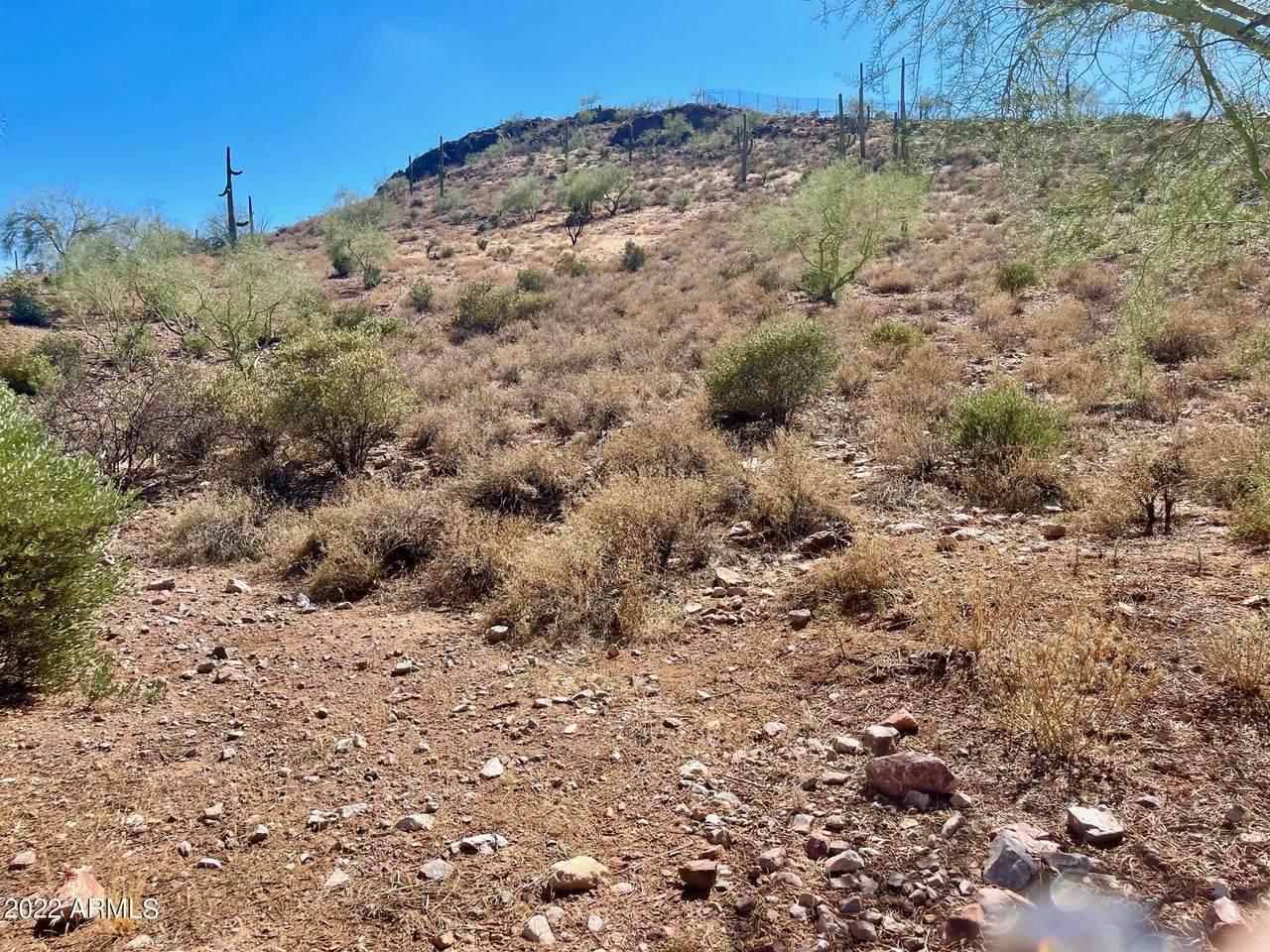 4264 Avenida De Angeles - Photo 1