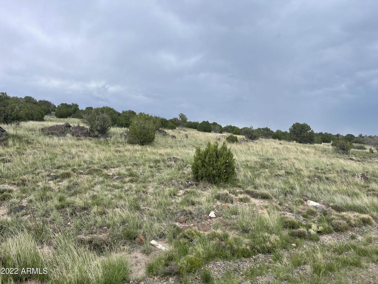 Lot 49 Windsor Valley Ranch - Photo 1