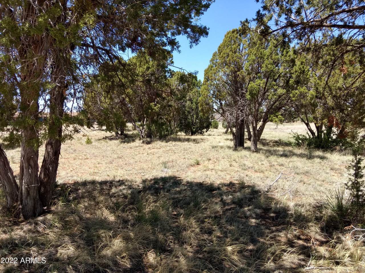 16 County Rd 5099 (Mellon Lane) Lane - Photo 1